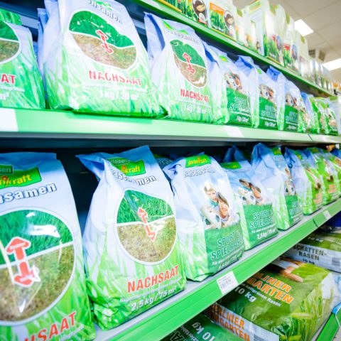 Eckfleth Saatgut Gras