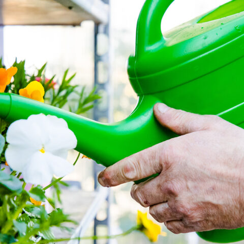 rwg-wesermarsch-baustoffhandel-garten-giesskanne