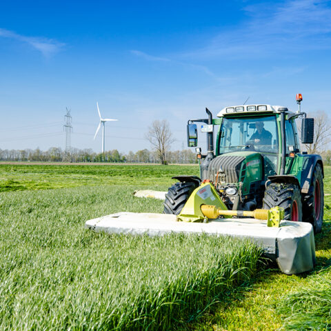 rwg-wesermarsch-futter-pflanzenbau-traktor-feld