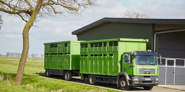 rwg-wesermarsch-viehhandel-transporter