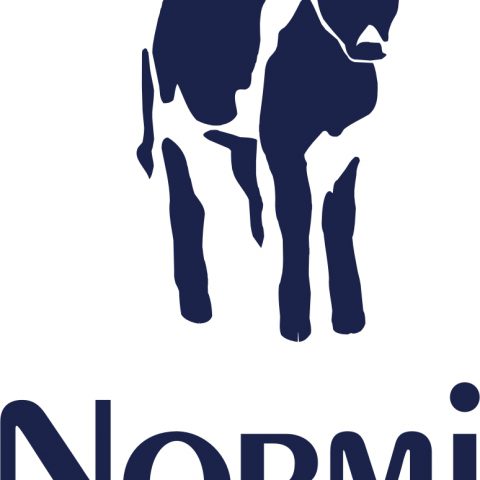 Normi_Logo_Kalb_2021