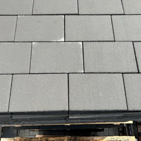 Genopiatto -A-2023.06.23